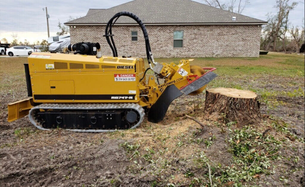 Stump Grinding