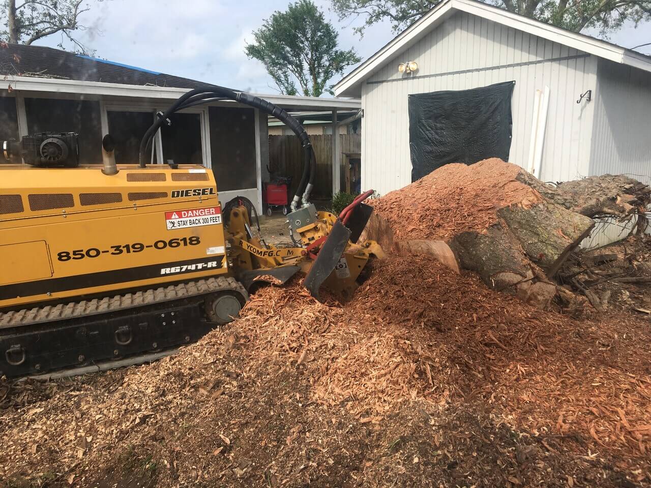 Forest Tree Mulching